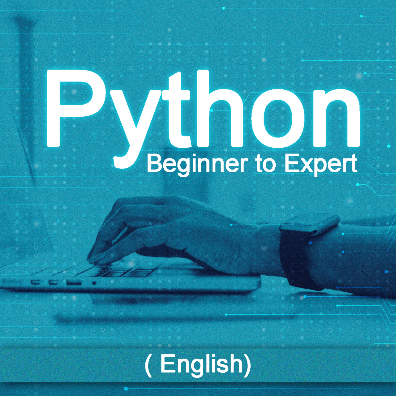 Python Mega Course-Covered the Basic to the Extreme Advanced